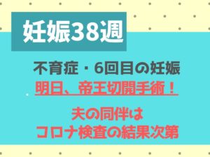 妊娠38週　ブログ　不育症　帝王切開　コロナ
